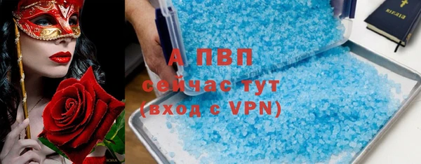 гашик Михайловск