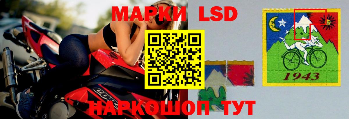 Лсд 25 экстази ecstasy  Лсд 25 экстази  ЛСД экстази кислота  Камышлов  Вход с VPN 