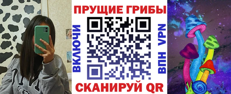 Псилоцибиновые грибы мухоморы купить закладку Камышлов