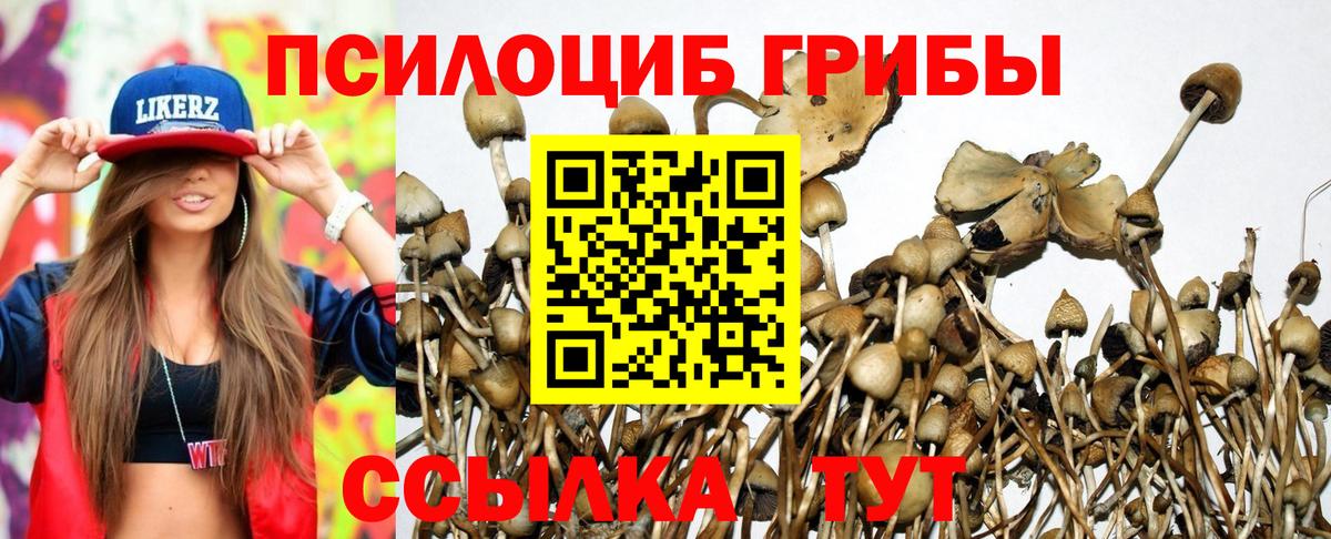 Галлюциногенные грибы мицелий Камышлов