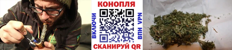 Канабис Amnesia  купить наркотик  Камышлов 