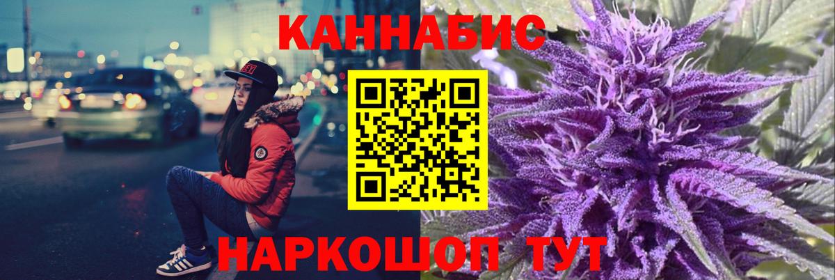 Канабис сатива Камышлов